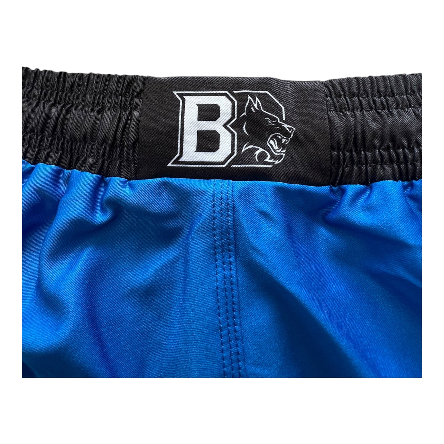 MMA Short Blackdog Blitz Bleu