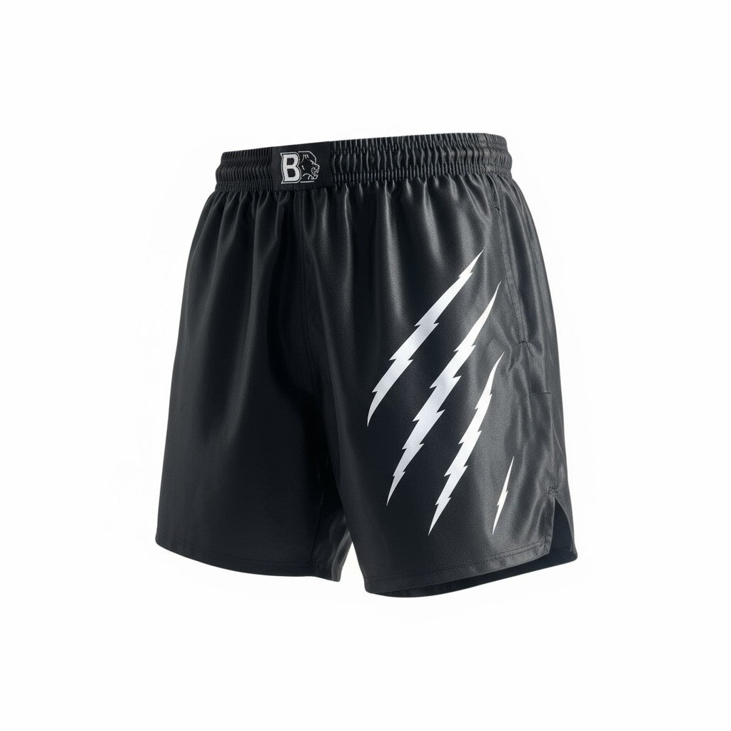 Pakket van 2 MMA shorts