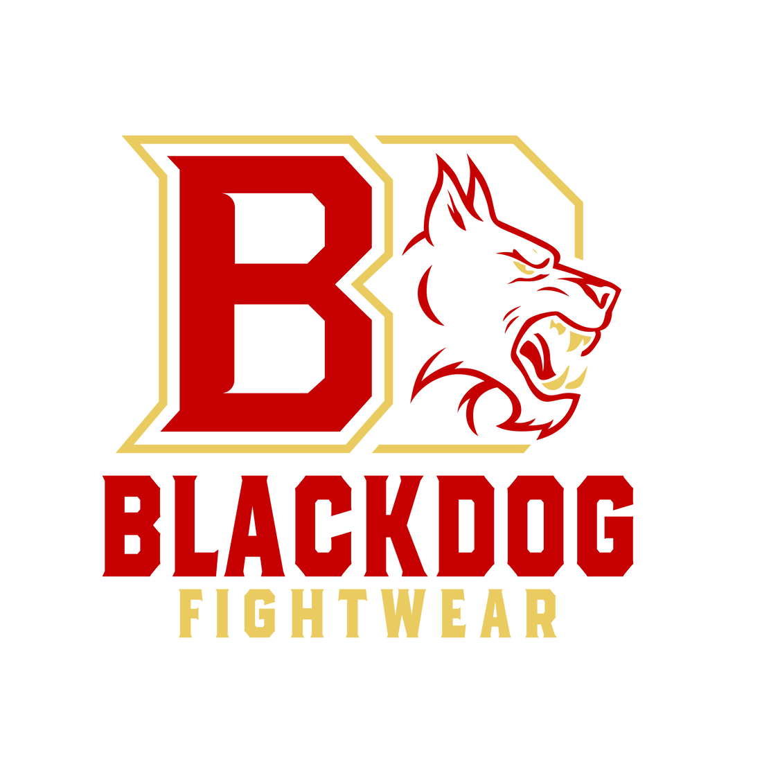 Pourquoi choisir des vêtements techniques spécialement conçus pour le MMA ?