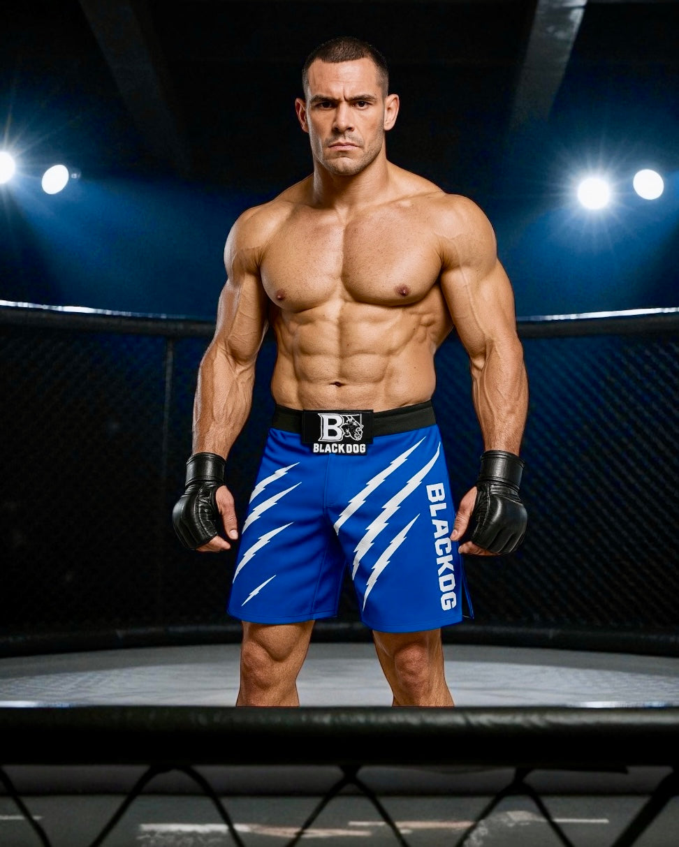 MMA Fight Shorts