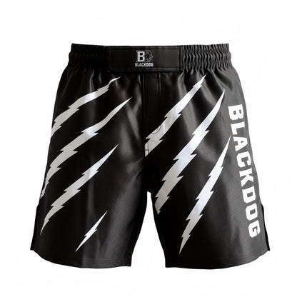 Pakket van 2 MMA shorts