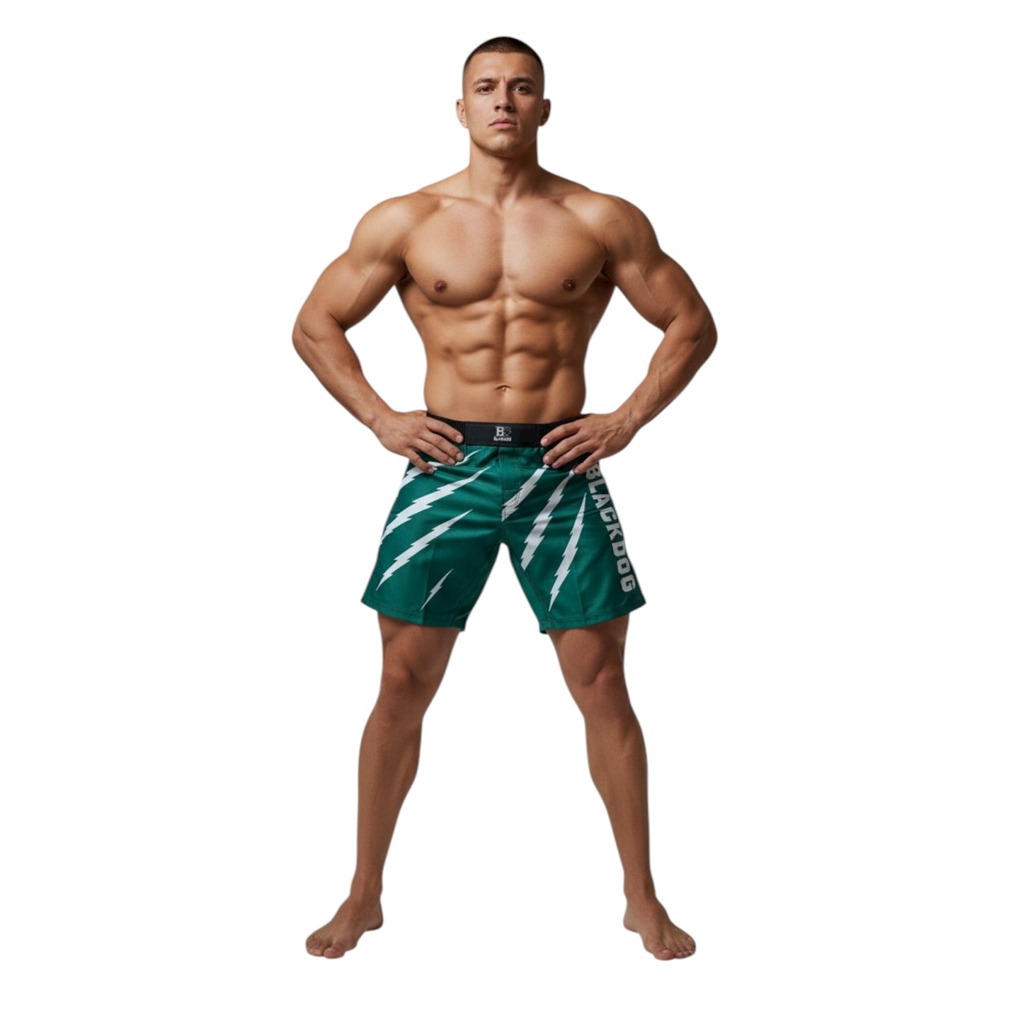 MMA Short Blackdog Blitz Vert