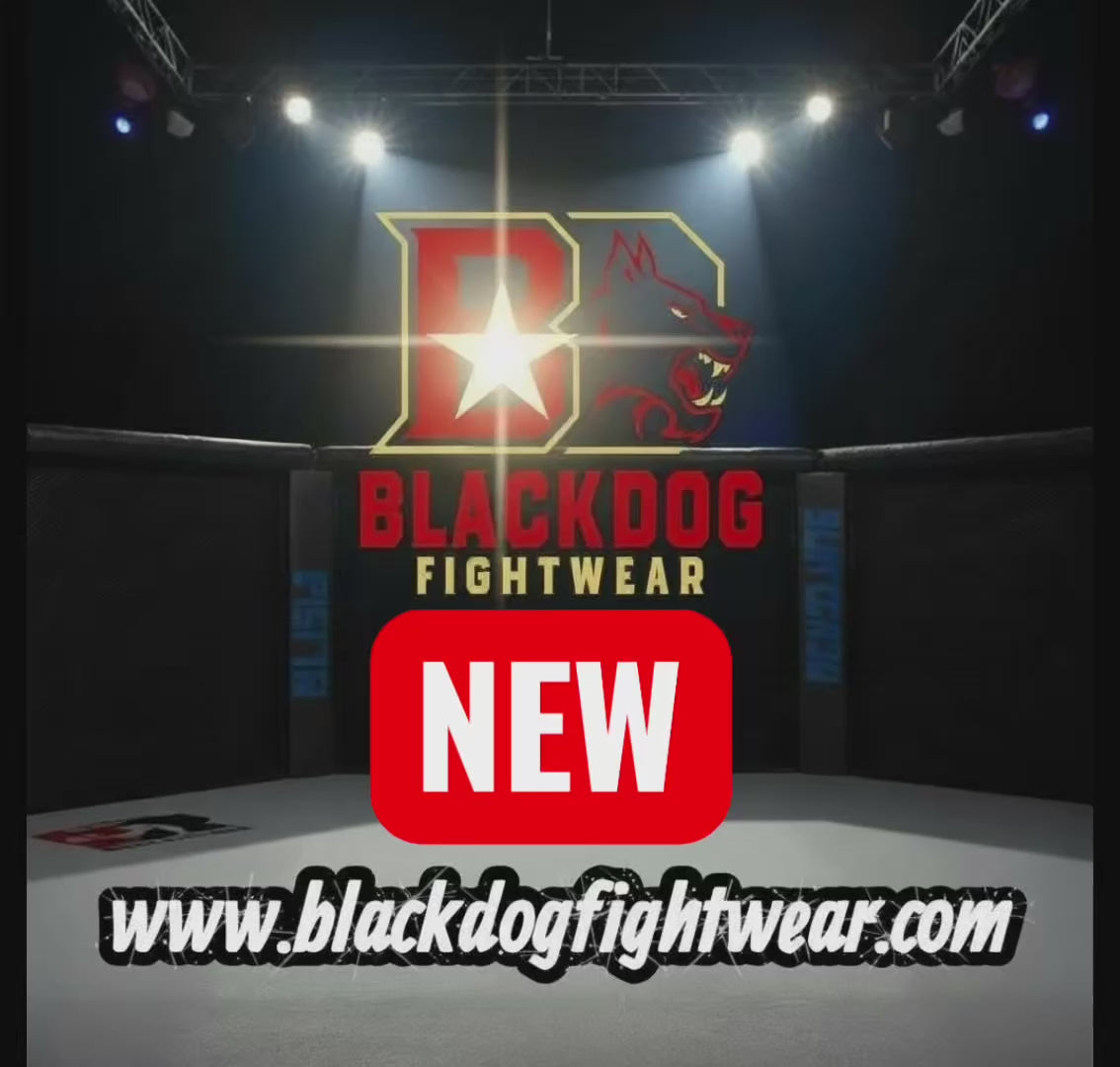 Charger la vidéo : 